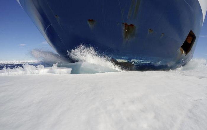 เรือตัดน้ำแข็งนิวเคลียร์โครงการอาร์กติก 22220