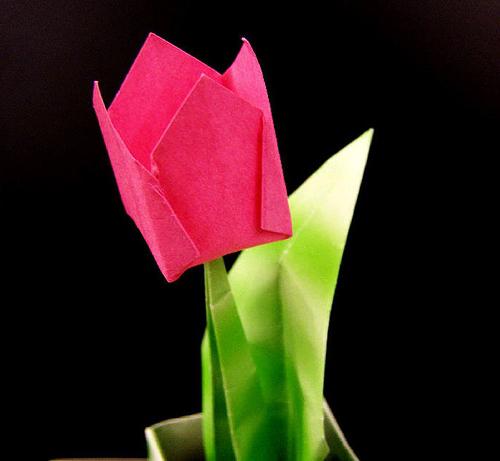 ดอกไม้จากกระดาษด้วยมือของเราเอง - สร้างช่อดอกไม้นิรันดร์