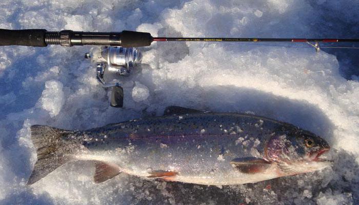 ตกปลาในฤดูหนาวใน Karelia: คุณลักษณะการประมง